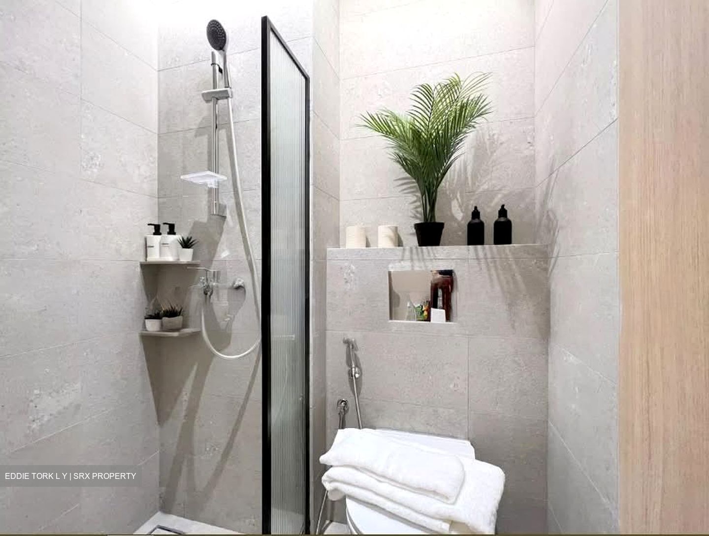 Mount Elizabeth Link (D9), Apartment #599672481